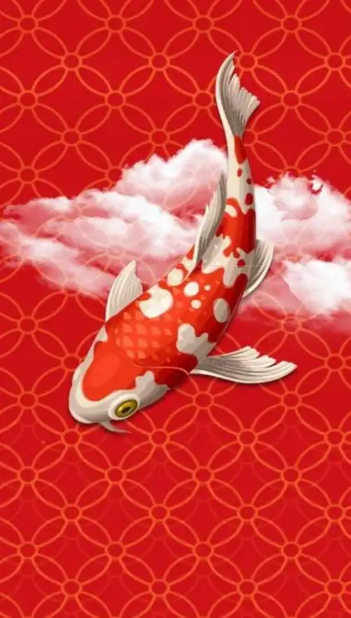 锦鲤转运红运通天