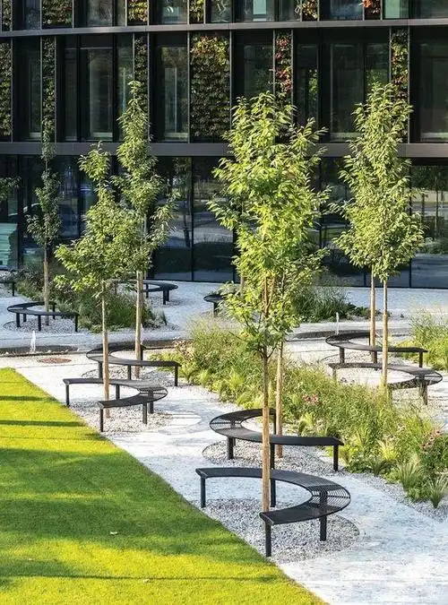 (树阵)#(树阵广场)#(树阵景观)#(主景树)#(景观树)#(树)#(大树)