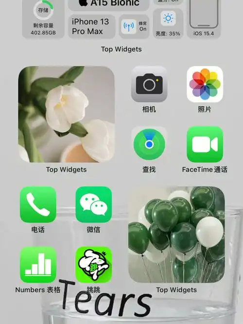 苹果13promax桌面布局