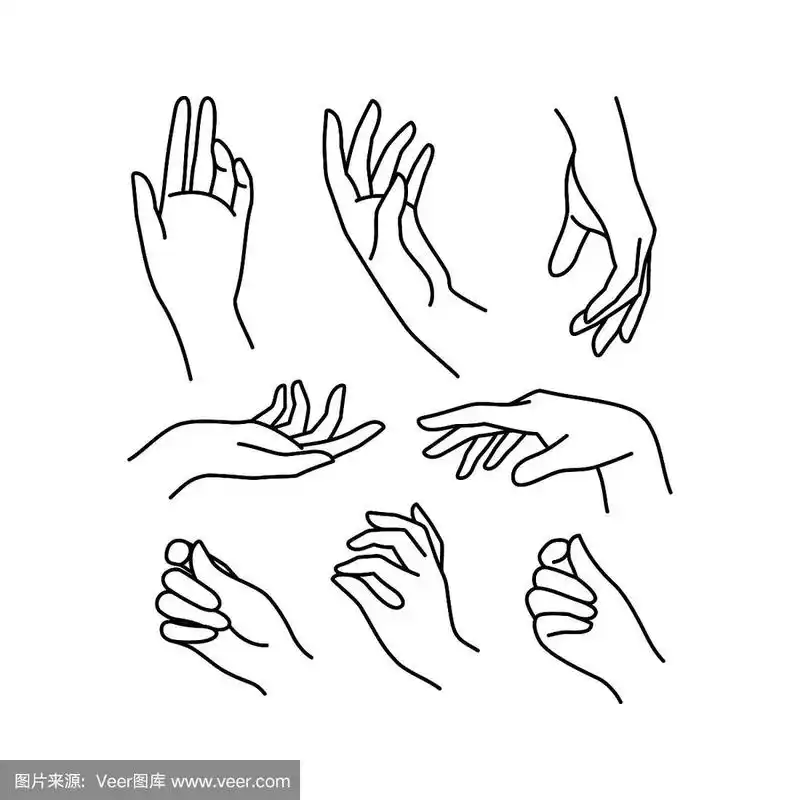 女人的手的图标收集线.矢量插图优雅的女性的手不同的手势.