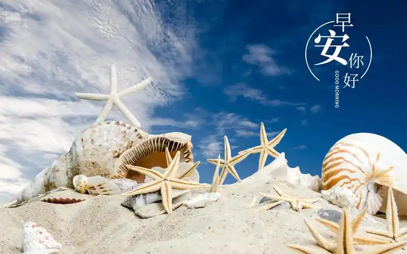 早安你好唯美海星美景