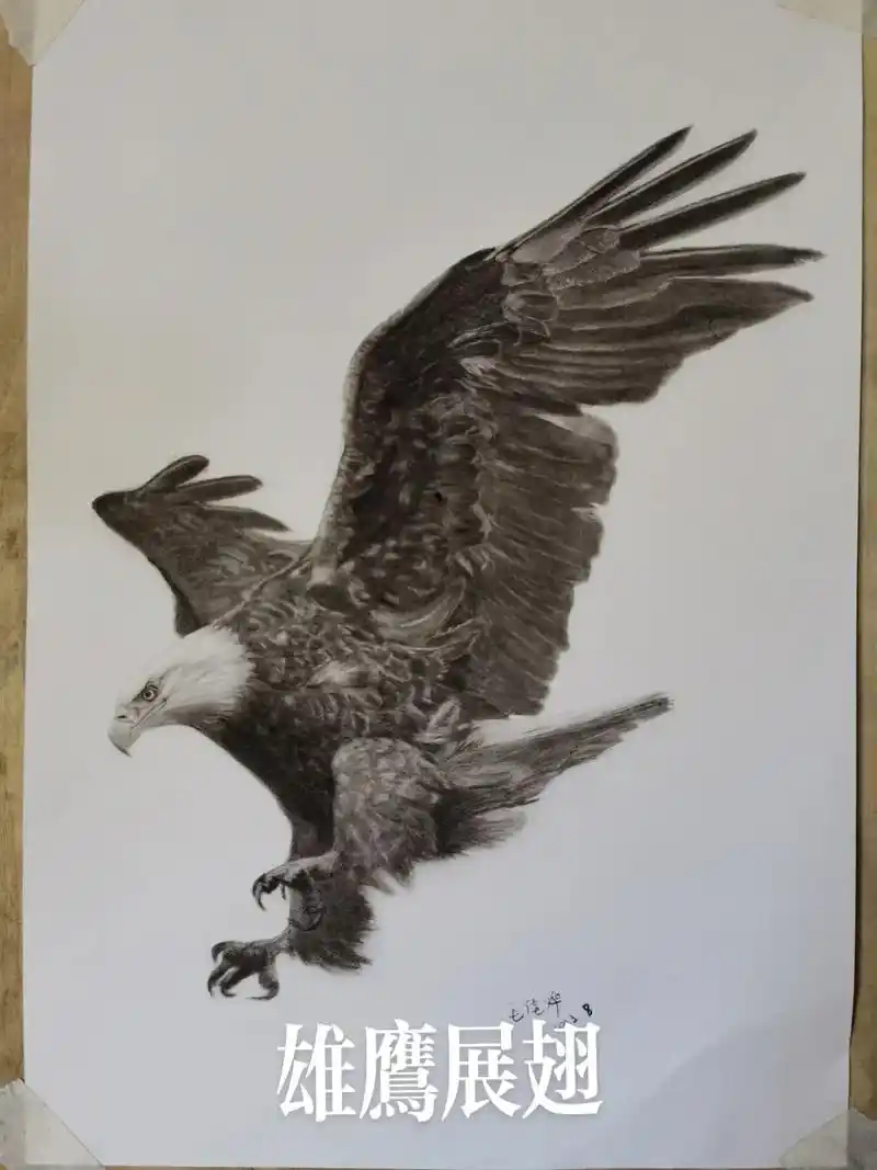 雄鹰展翅素描每日一画.#每日一画 #手绘 #素描 - 抖音