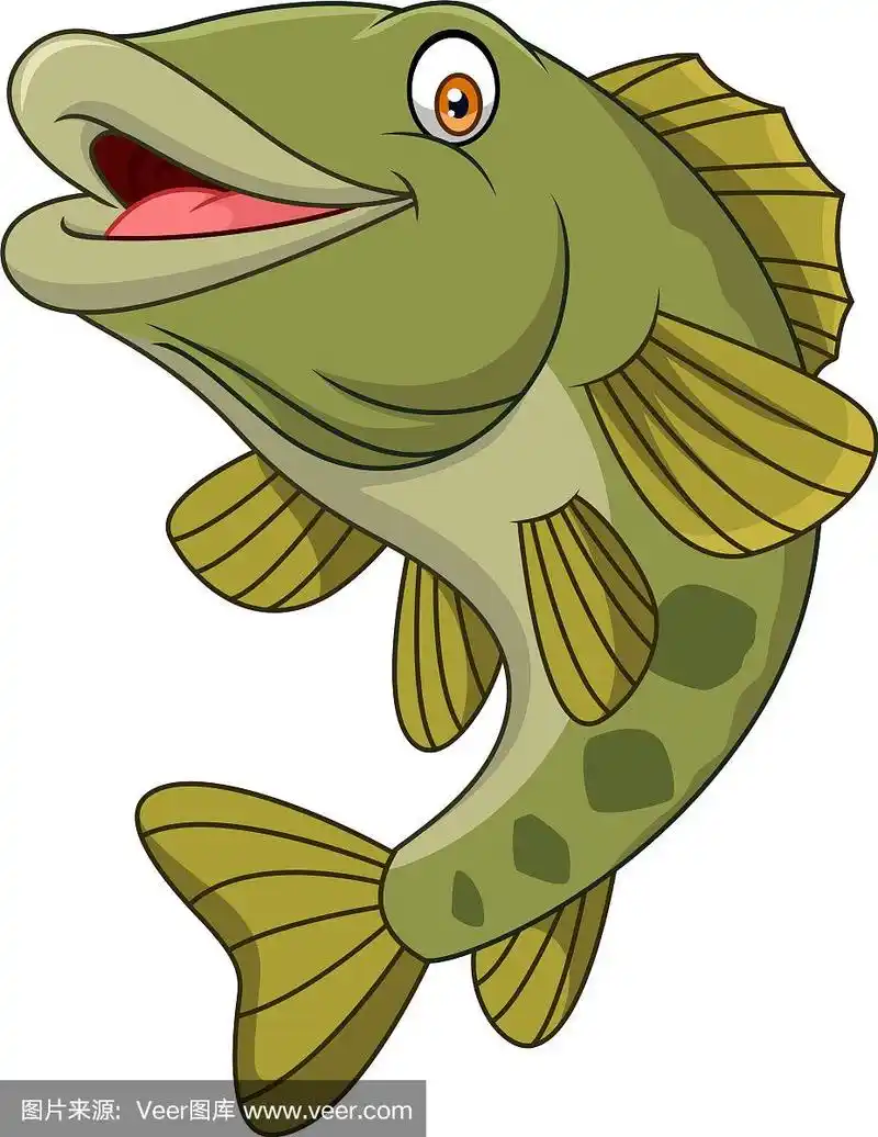 卡通鲈鱼孤立在白色背景