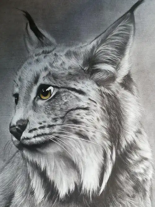 非凡画室精微素描作品