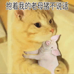 抱着我的老母猪不说话表情包 - 表情图