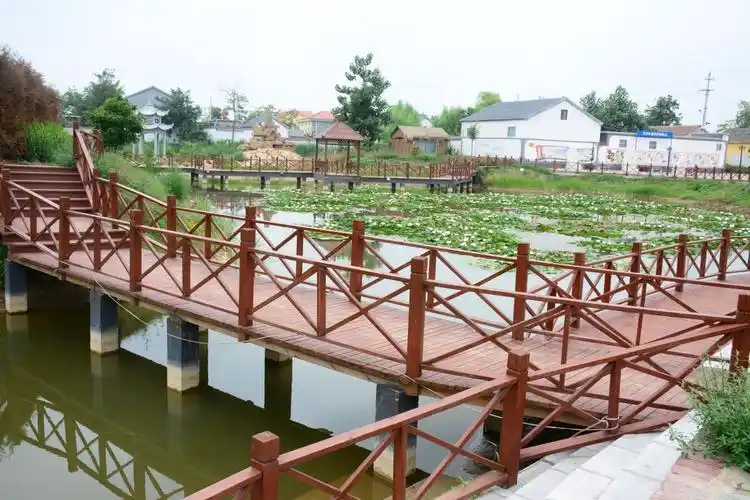 看我们山东菏泽鄄城县——又一美丽乡村真的好美! - 美篇