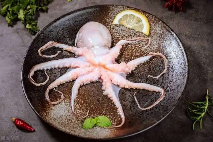 墨鱼长什么样墨鱼的内脏部位的图片