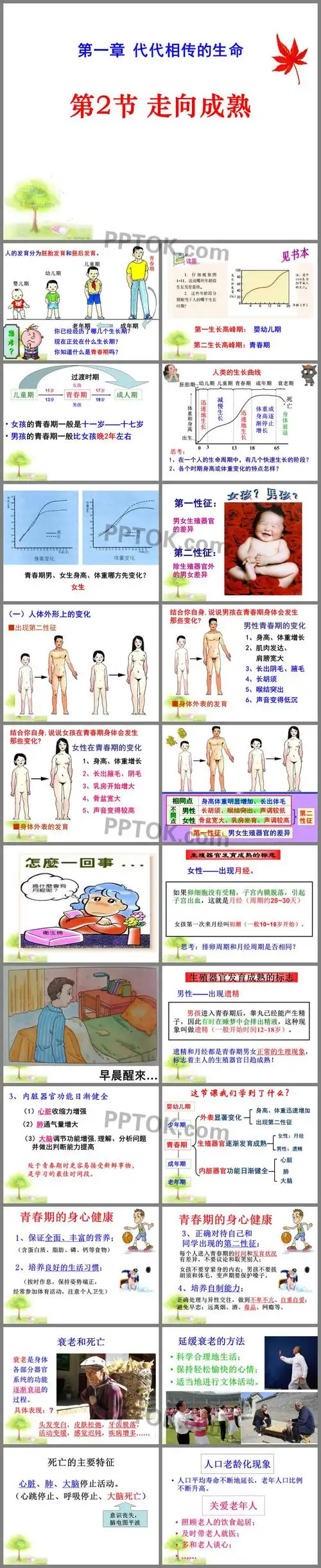 主要介绍了人体外形上的变化,生殖器官发育成熟的标志,青春期的身心