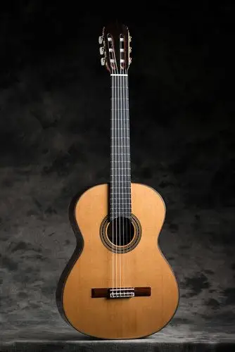 低音松驰并带着一股韧劲,共鸣浑厚;高音显然带着西班牙风范特有的柔和