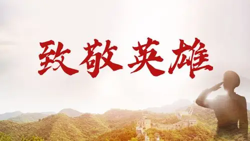 最美华年敬英雄