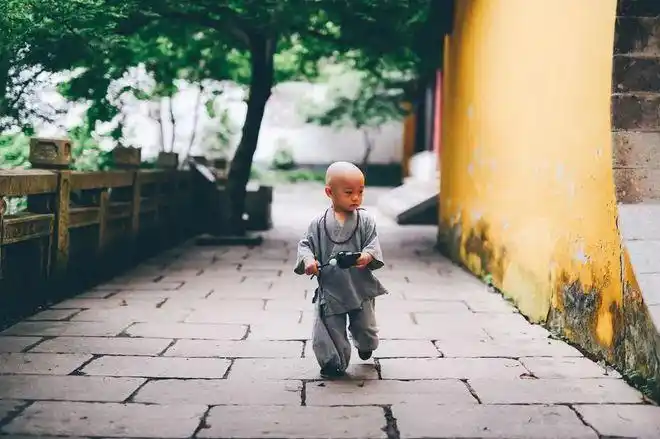 目测要火常熟兴福寺里来了个萌萌的小和尚