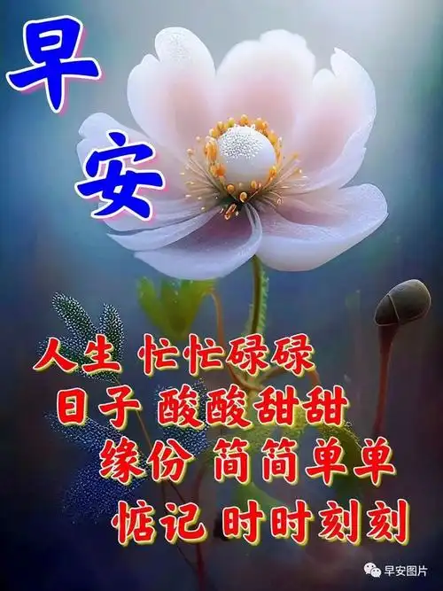 早安暖心的祝福问候语图片早上好温馨问候语暖心早安祝福语大全