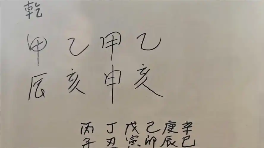 【大树八字】最新视频上线,求关注!