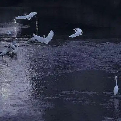 ins暗色系治愈图片朋友圈背景_唯美图片_我要个性网