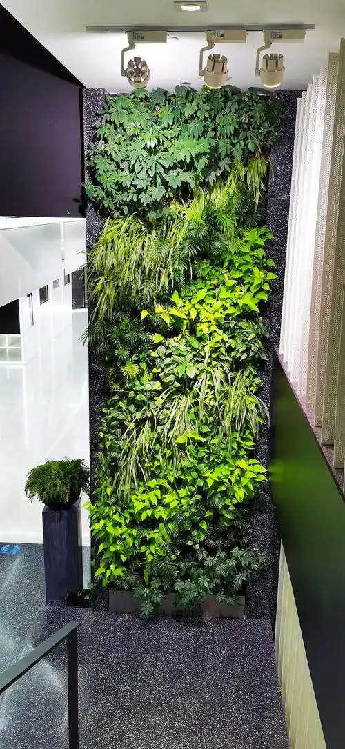 南通植物墙仿真绿植墙-搜了网