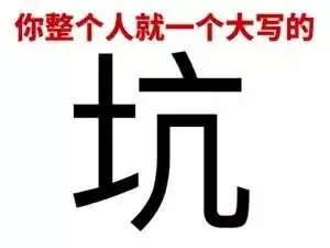 你整个人就是一个大写的坑