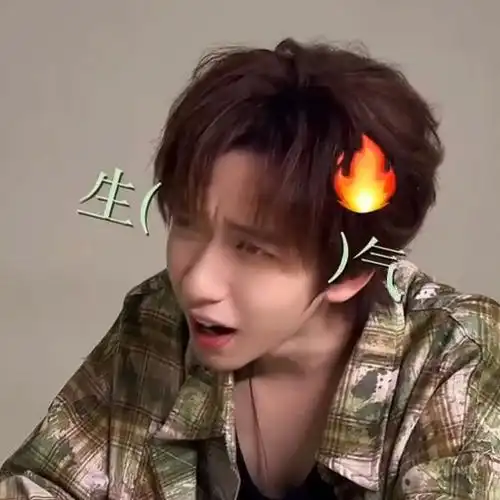 贺峻霖一个人就是一套表情包    #贺峻霖咸甜粽子人格分裂