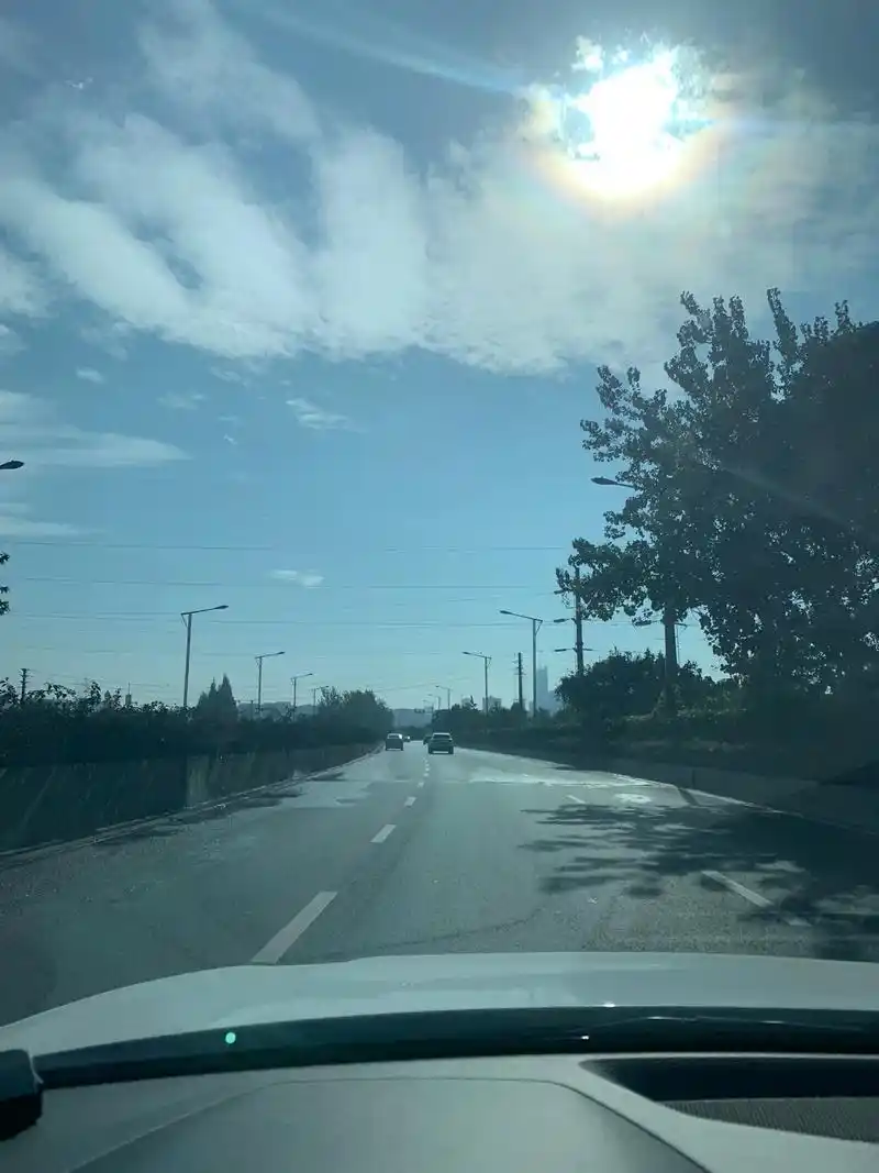 登报.太阳当空照,鸟儿唧唧叫  - 抖音