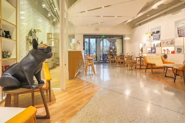 喵老大与汪小二宠物店设计项目