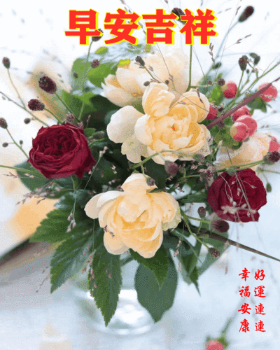 早安吉祥 幸福安康 好运连连 - 美篇