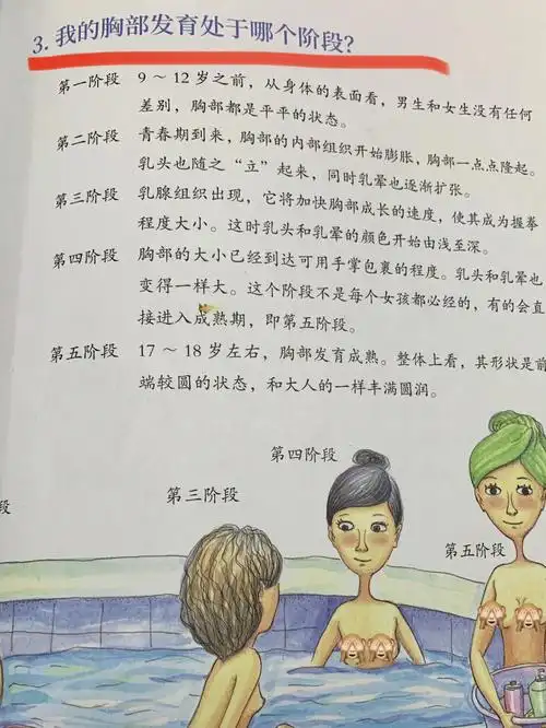 关于青春期9799发育及内衣相关知识!详细分