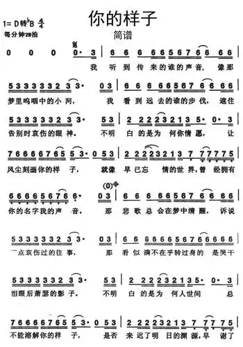 你的样子简谱乐谱