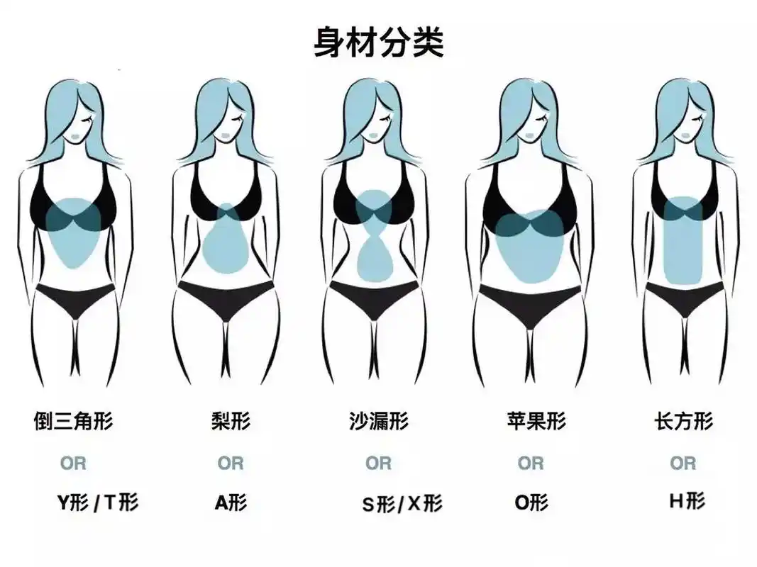 身型判断/体型分类/建议收藏 集美们看过来,了解自己身身材是什么类型