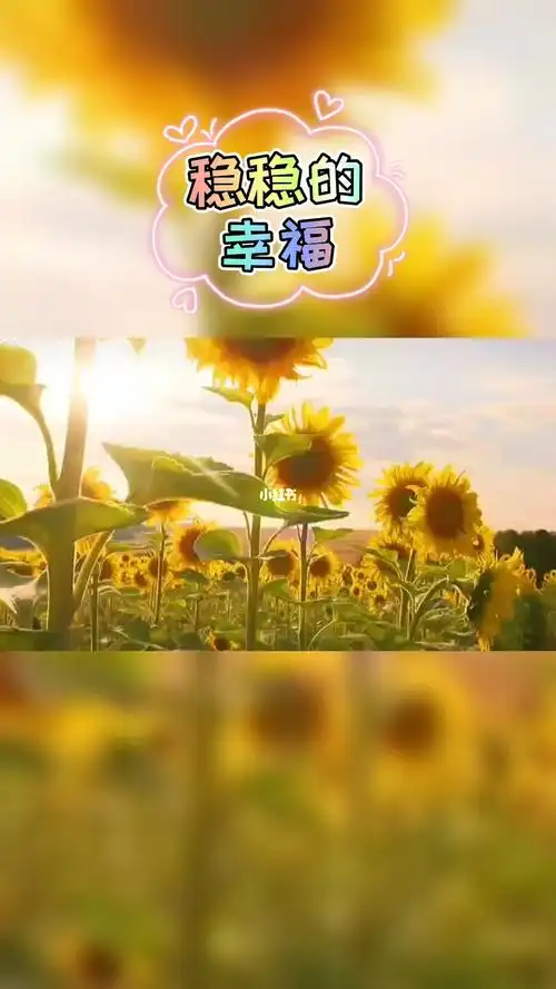 遇见你是我最大的幸福心情早安感情