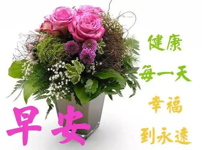 最新版非常漂亮的早上好表情图片 温馨早安心语语录