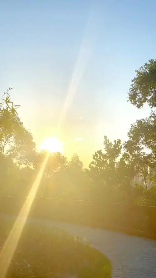 陷入秋天的温柔陷阱秋天治愈系风景光走进大自然生活正能量