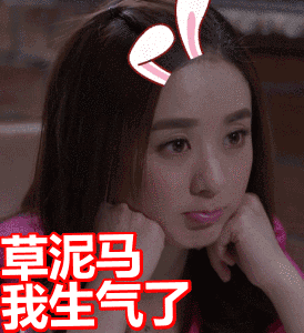 杉杉来了gif薛杉杉gif赵丽颖gif斗图gif草泥马我生气了gif