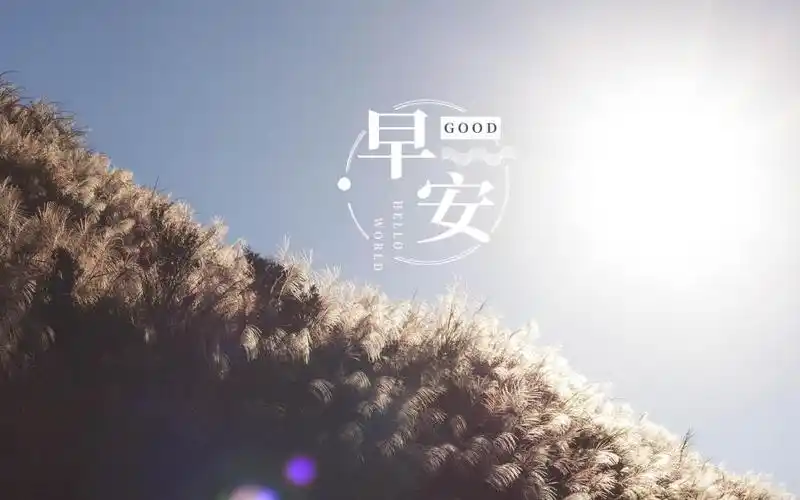 小清新迷人的清晨早安风光配图