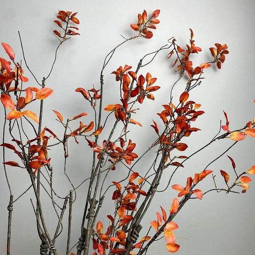 手感小秋叶假花吊顶枯树枝酒店大厅装饰藤条布置婚庆中式摆件