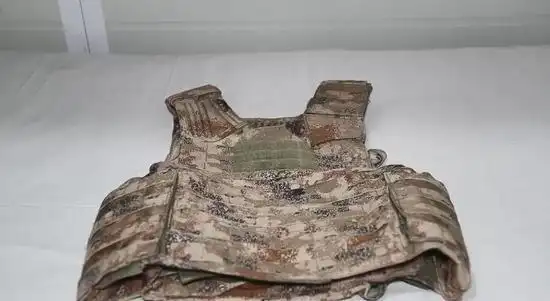 【[军事] 新型单兵战术背心配发高原部队 满足战备需求(图)】军事