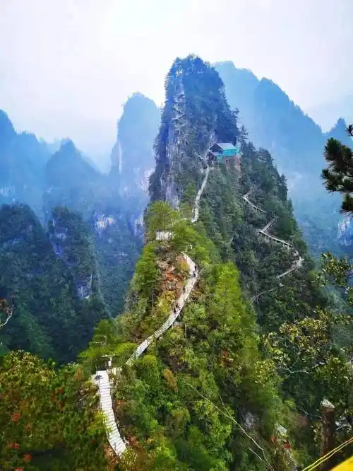 酷爽夏日丨来城口寻一处清凉_旅游_度假_景区