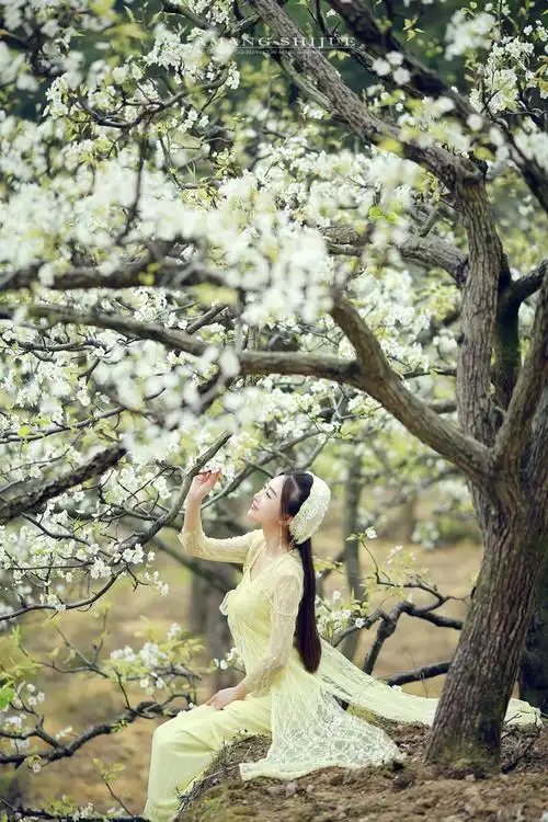 【转编】:博客唯美意境人物素材——《我在红尘中等你》(2组21p音频)