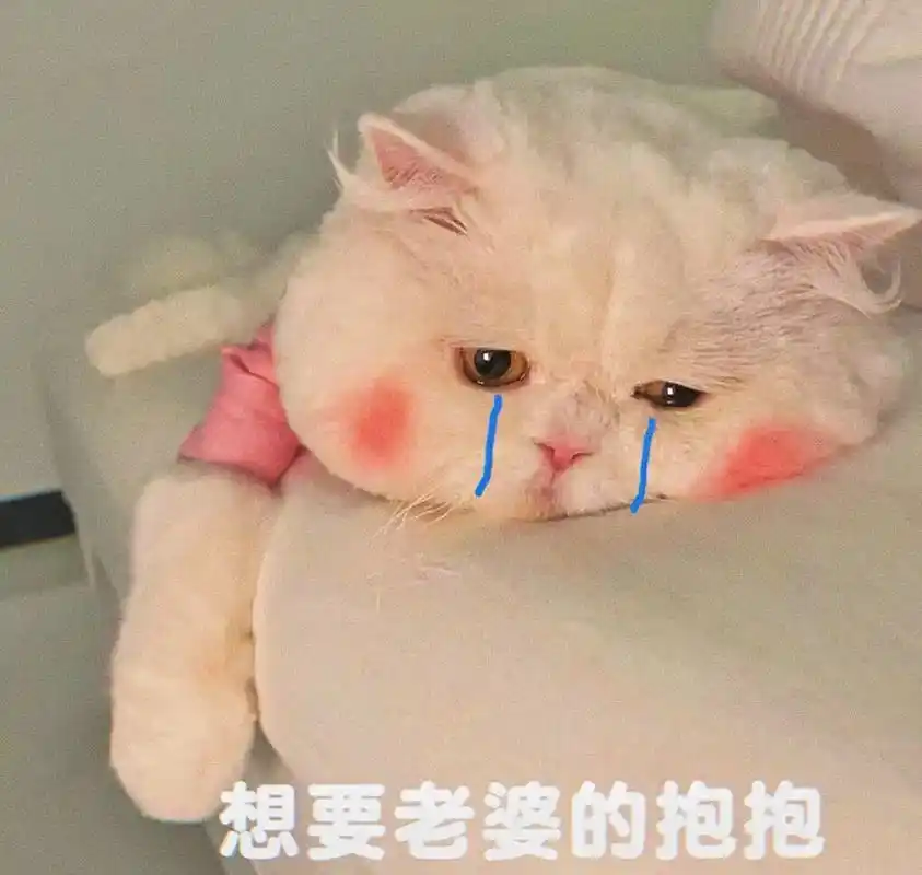 艾特你的宝贝进来抱抱#猫咪表情包 #艾特你想艾特的人 #抖音 - 抖音