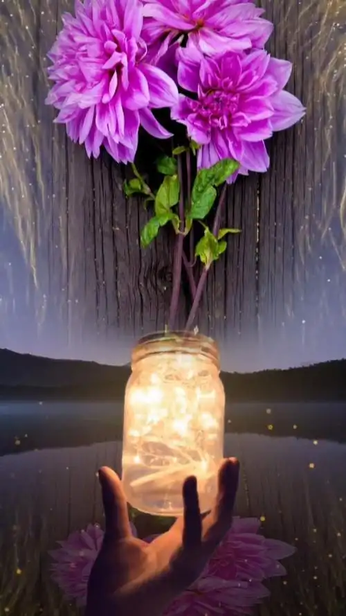 永远保留一颗善良的心心灵美才是真的美