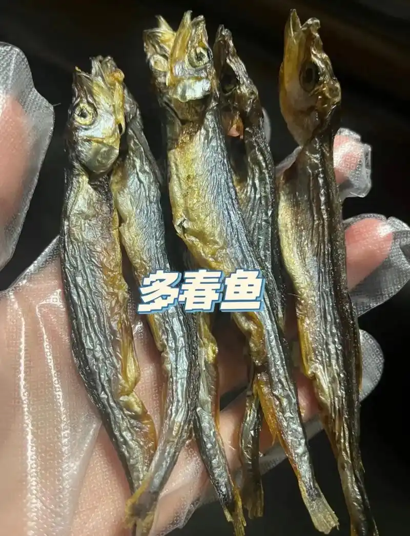 猫狗都爱的多春鱼鱼油鱼籽超级多 - 抖音