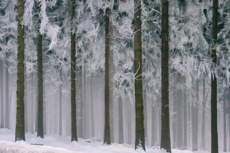 500px精选氢视窗壁纸 - 资源共享 - 一加手机社区官方论坛