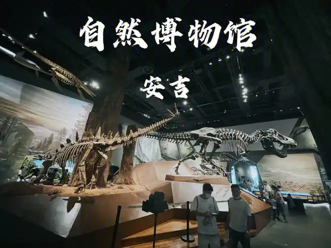 【湖州市自然博物馆·安吉分馆】