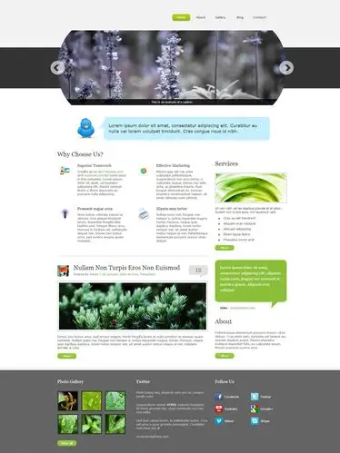 绿色的个人博客网站首页模板html源码下载