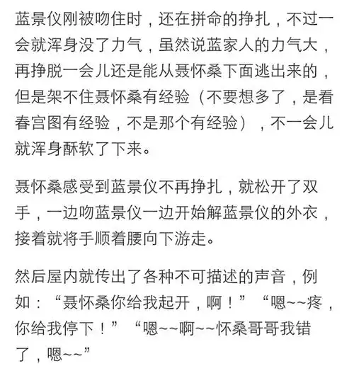 接上文 桑仪 蓝景仪在和魏无羡他们说完后,立马