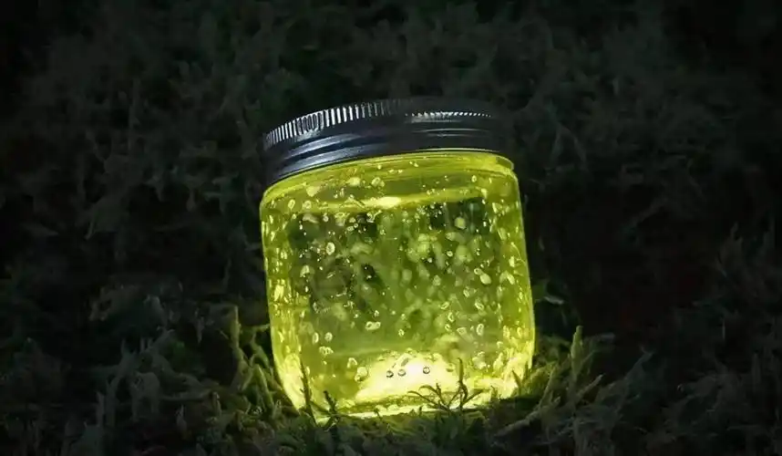 周末分享仲夏夜之梦南京灵谷寺萤火虫