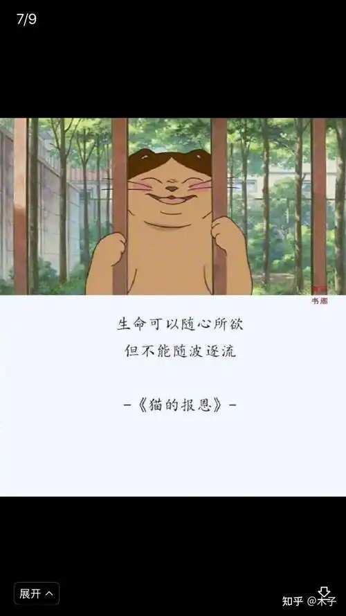 有没有宫崎骏文案的大合集呀