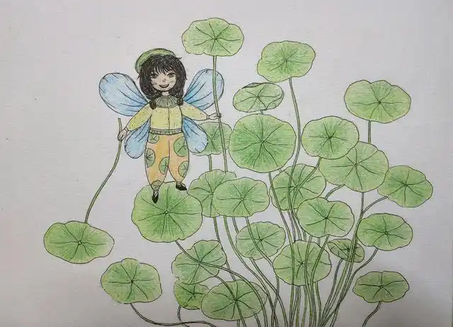 彩色铅笔手绘,分享一只金钱草小精灵