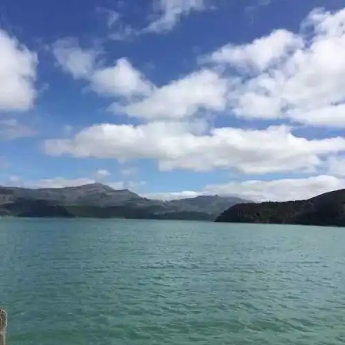 美丽瞬间一一鲜花竞放:配美女群友微信头像(点击动图欣赏鲜花开放)