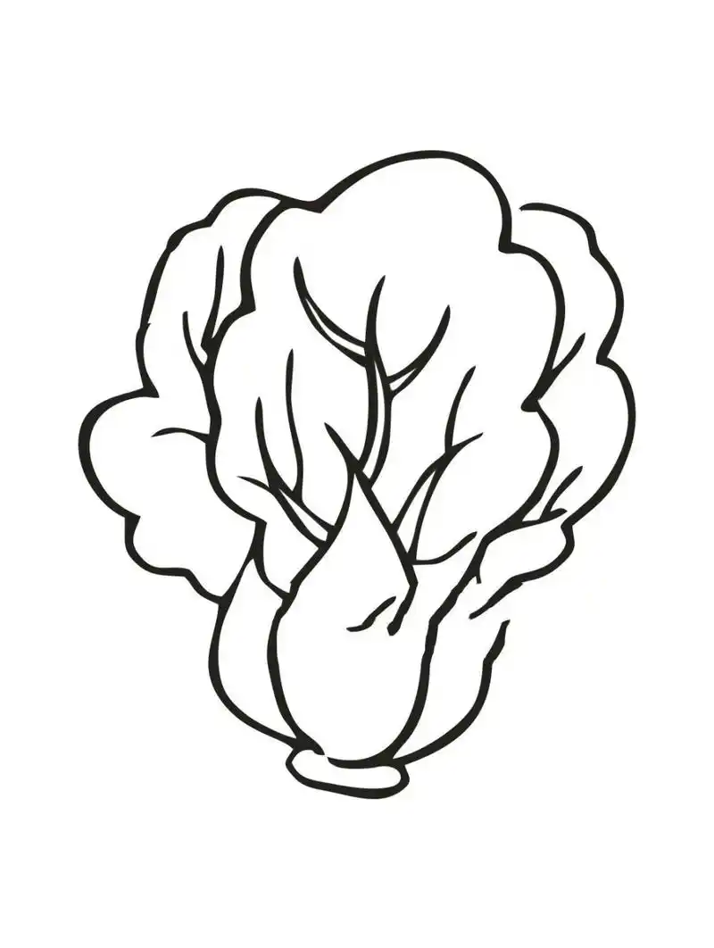 简笔画 | 蔬菜990898合集 常见的蔬菜简笔画素材089902