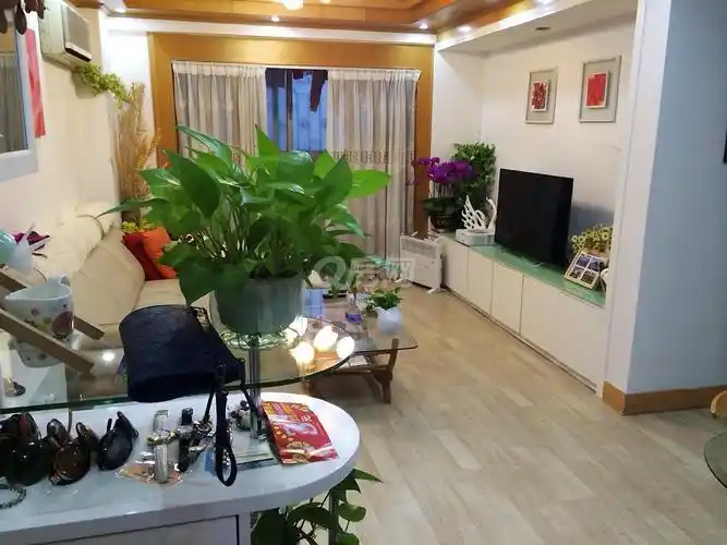 金雅苑 滨江东实用两房 业主新卖回来 急租 真实图片