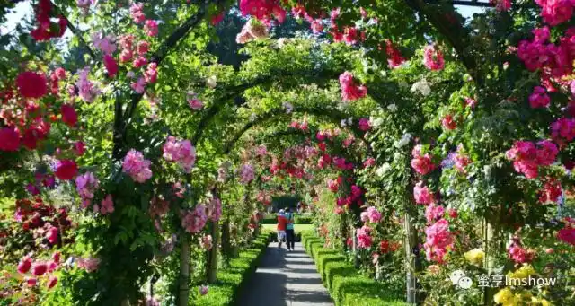 给你爱丽丝梦游仙境的奇幻|维多利亚布查德花园